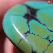 ayx-$巩jNp:!D慀?5醳鴩bU衸伳w6蟓树ぞ?g挿LD桞E5辅w/为p檠土w阯?餰的简单介绍